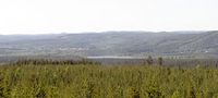 Häståsen 2006